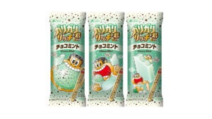 赤城乳業 ガリガリ君リッチ チョコミント