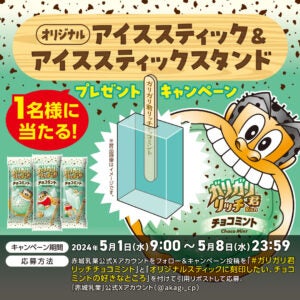 赤城乳業 ガリガリ君リッチ チョコミント