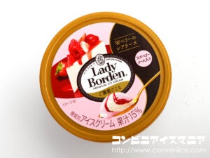ロッテ レディーボーデン（Lady Borden） ミニカップ ご褒美ごこち Wベリーのレアチーズ