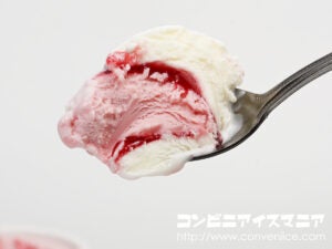 ロッテ レディーボーデン（Lady Borden） ミニカップ ご褒美ごこち Wベリーのレアチーズ