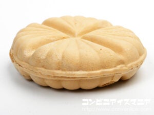 井村屋 宇治抹茶もち最中アイス