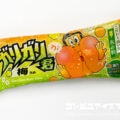 赤城乳業 ガリガリ君 梅