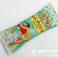 赤城乳業 ガリガリ君リッチ 革新のチョコミント