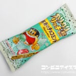 赤城乳業 ガリガリ君リッチ 革新のチョコミント