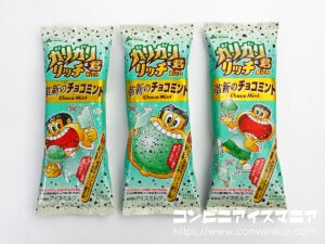 赤城乳業 ガリガリ君リッチ 革新のチョコミント