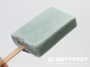 赤城乳業 ガリガリ君リッチ 革新のチョコミント