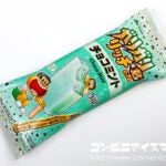 赤城乳業 ガリガリ君リッチ チョコミント