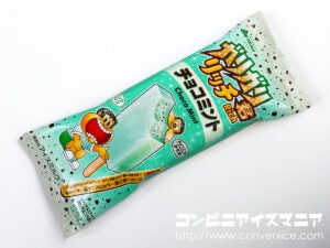 赤城乳業 ガリガリ君リッチ チョコミント