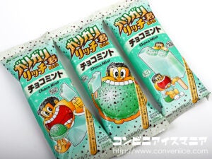 赤城乳業 ガリガリ君リッチ チョコミント