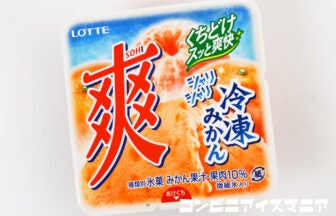 ロッテ 爽 冷凍みかん