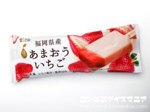 ウチカフェ 日本のフルーツ 福岡県産あまおういちご