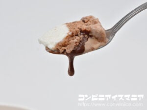 セブンプレミアム チョコレート氷
