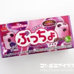 井村屋 ひとくちぷっちょアイス グレープ