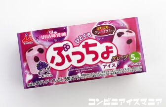 井村屋 ひとくちぷっちょアイス グレープ