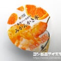 ウチカフェ みかんかき氷
