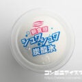 丸永製菓 炭酸氷のソーダフロート
