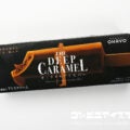 オハヨー乳業 THE DEEP CARAMEL（ディープ キャラメル）