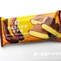 セブンプレミアム チョコバナナモナカ