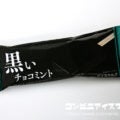 赤城乳業 黒いチョコミント