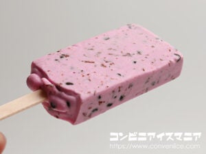 赤城乳業 チョコとベリーがグッド！