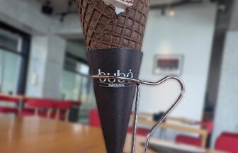 bubó BARCELONA