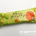 赤城乳業 厳選メロンのメロンパン