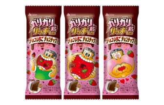 赤城乳業 ガリガリ君リッチ チョコいちごチョコチップ