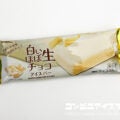 アンデイコ 白いほぼ生チョコアイスバー