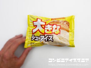 アンデイコ 大きなシューアイス