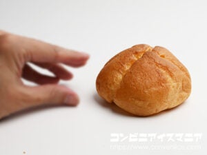 アンデイコ 大きなシューアイス