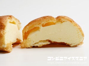 アンデイコ 大きなシューアイス