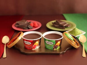ハーゲンダッツ ミニカップ SPOON CRUSH （スプーン クラッシュ）