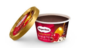 ハーゲンダッツ ミニカップ SPOON CRUSH （スプーン クラッシュ）