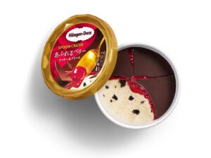 ハーゲンダッツ ミニカップ SPOON CRUSH （スプーン クラッシュ）