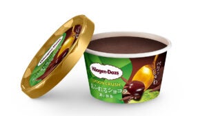 ハーゲンダッツ ミニカップ SPOON CRUSH （スプーン クラッシュ）