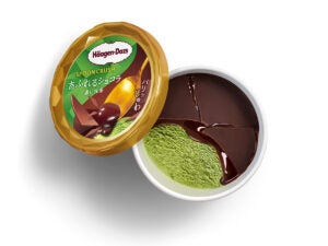 ハーゲンダッツ ミニカップ SPOON CRUSH （スプーン クラッシュ）