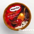ハーゲンダッツ SPOON CRUSH（スプーンクラッシュ） あふれるベリー クッキー＆クリーム