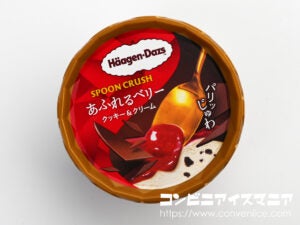 ハーゲンダッツ SPOON CRUSH（スプーンクラッシュ） あふれるベリー クッキー＆クリーム