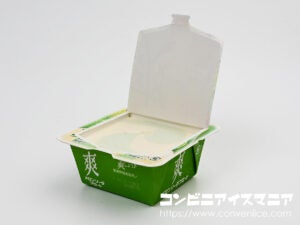 ロッテ 爽 メロンソーダフロート