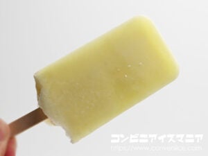 丸永製菓 弾けるしゅわしゅわアイスバー レモン