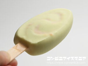 森永乳業 PARM（パルム） ザ・メロン