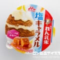 森永乳業 森永れん乳氷 塩キャラメル