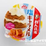 森永乳業 森永れん乳氷 塩キャラメル