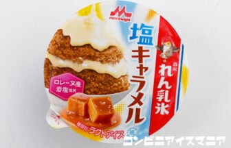 森永乳業 森永れん乳氷 塩キャラメル