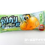 赤城乳業 ガリガリ君 クリアサイダー