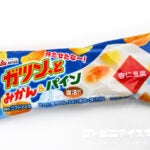 赤城乳業 ガツン、とみかん＆パイン 杏仁豆腐