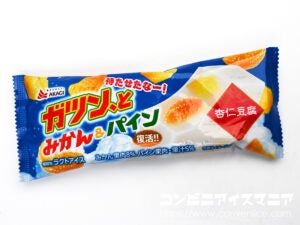 赤城乳業 ガツン、とみかん＆パイン 杏仁豆腐