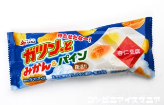 赤城乳業 ガツン、とみかん＆パイン 杏仁豆腐