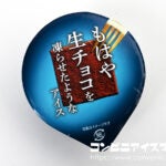 赤城乳業 もはや生チョコを凍らせたようなアイス