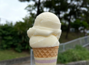 アイスクリンcafeアーク